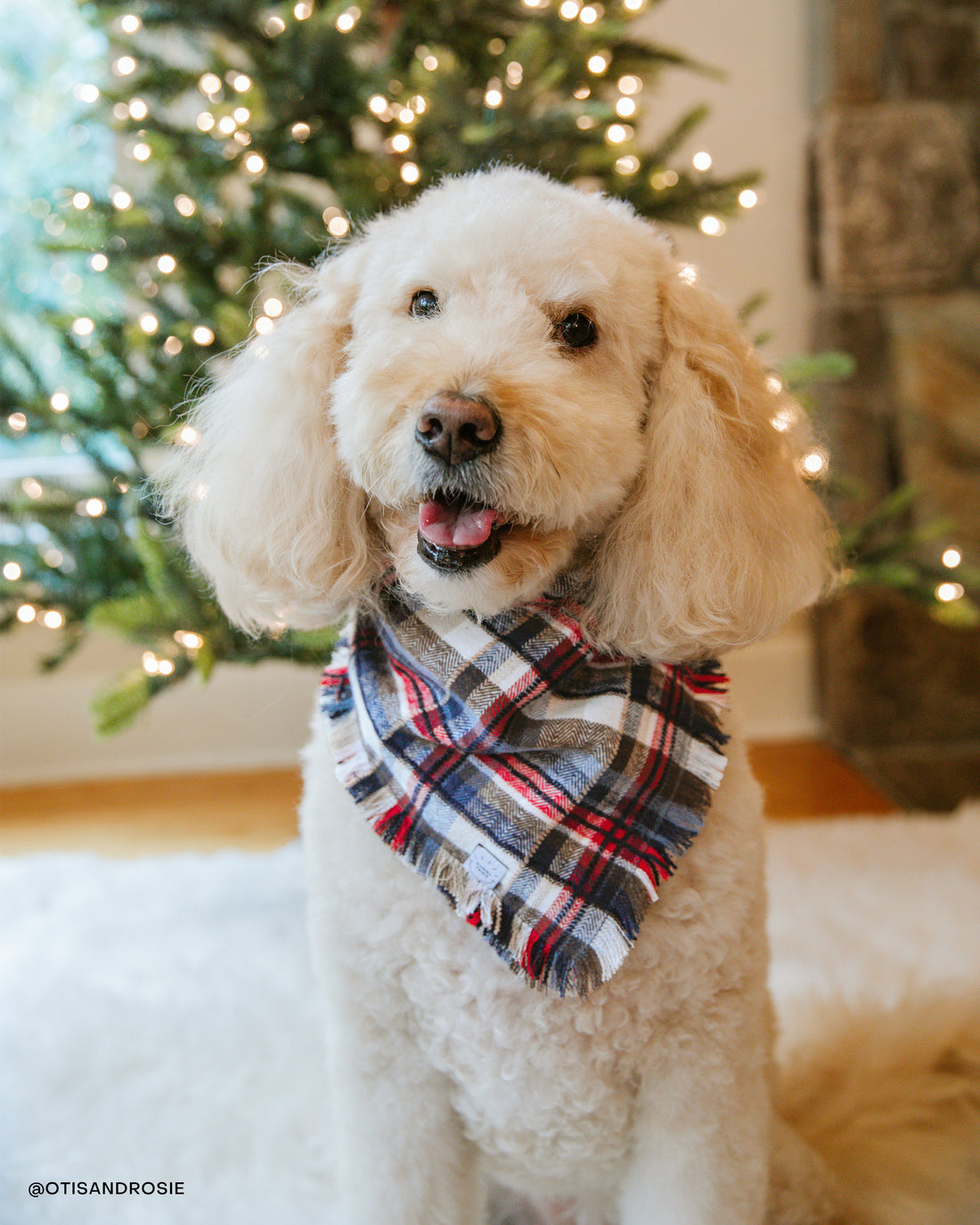 Frosted Foresty Flannel Frayed Dog Bandana | Brown and Blue Plaid Christmas Flannel | Shop Sunny Tails