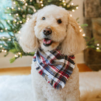 Frosted Foresty Flannel Frayed Dog Bandana | Brown and Blue Plaid Christmas Flannel | Shop Sunny Tails