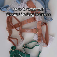 Cherry Red Cloud Lite Dog Harness
