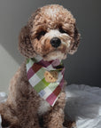 Picnic Plaid Teddy Dog Bandana | Teddy Bear Dog Bandana | Shop Sunny Tails