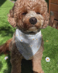 Embroidered Daisies Dog Bandana | Spring Dog Bandana | Shop Sunny Tails