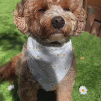 Embroidered Daisies Dog Bandana | Spring Dog Bandana | Shop Sunny Tails