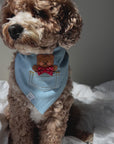 Pocket Teddy Bleached Denim Denim Dog Bandana Brown | Teddy Bear Dog Bandana | Shop Sunny Tails