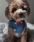 Pocket Teddy Indigo Denim Dog Bandana - Beige