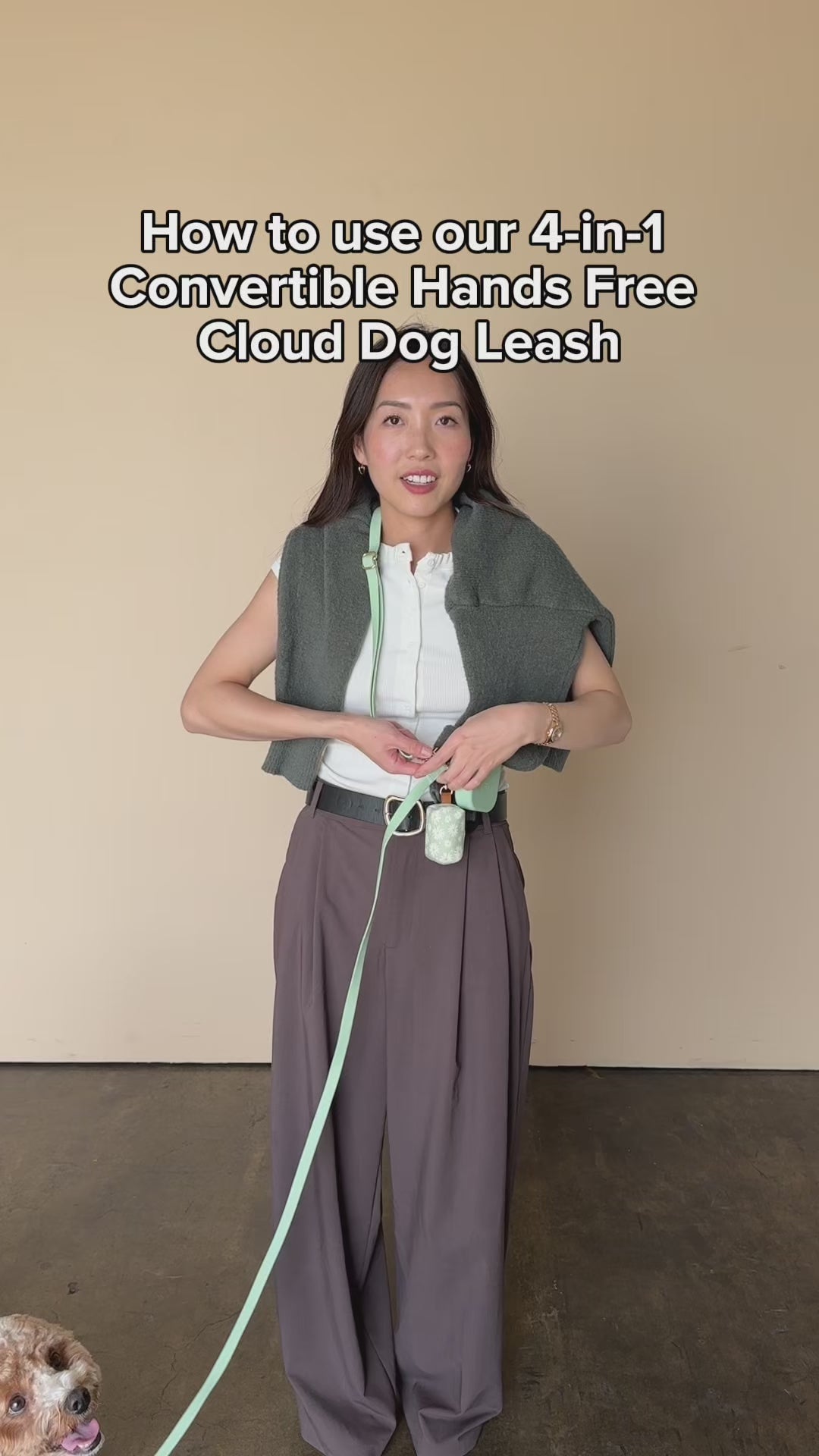 How to use our 4-in-1 Convertible Hands Free Cloud Dog Leash
