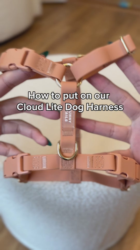 How to put on our Cloud Lite Dog Harness