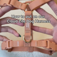 How to put on our Cloud Lite Dog Harness