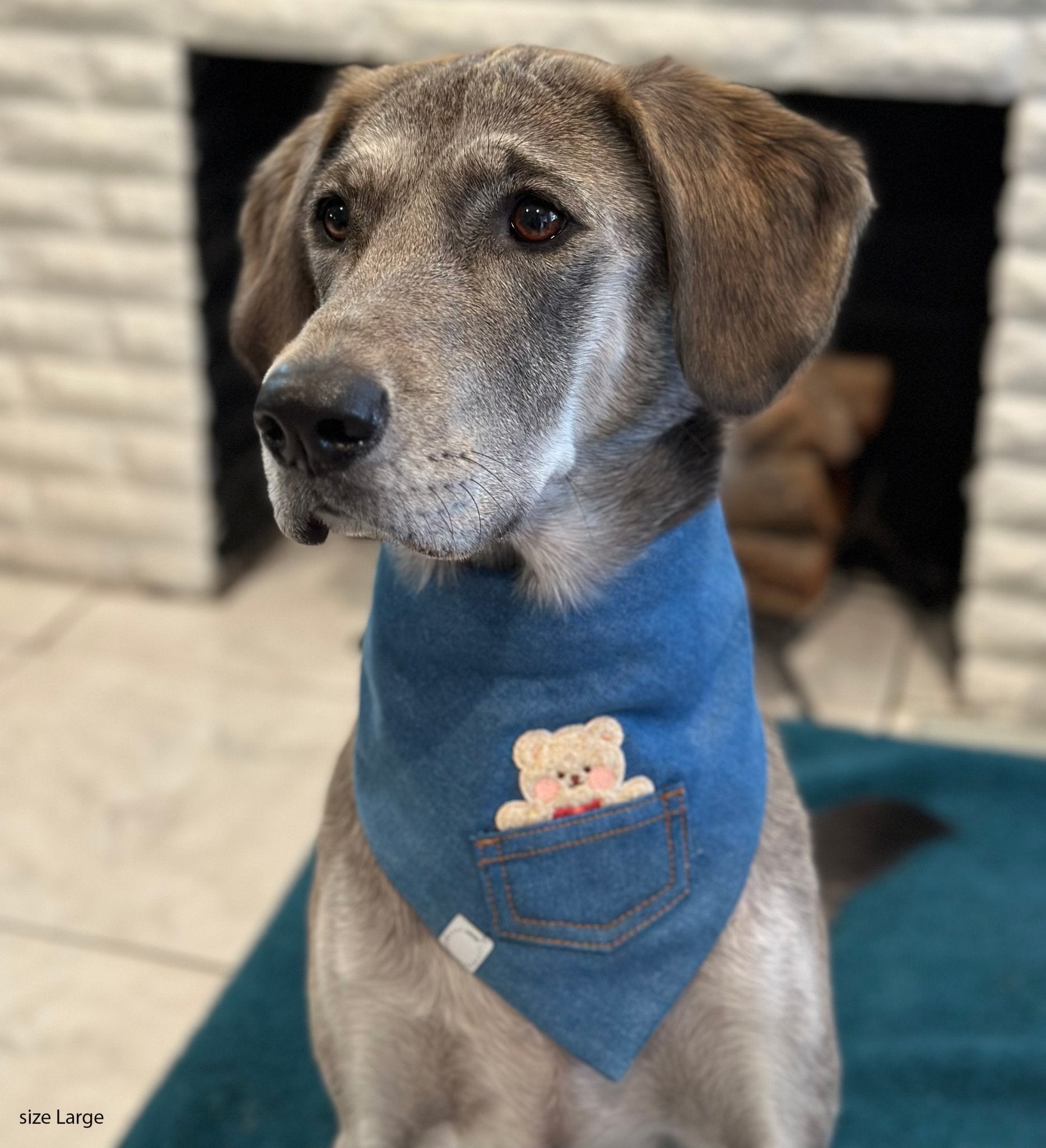 Pocket Teddy Indigo Denim Dog Bandana - Beige - SUNNY TAILS