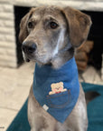 Pocket Teddy Indigo Denim Dog Bandana - Brown - SUNNY TAILS