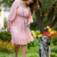 Cloud Convertible Leash Extension Bundle