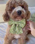 Olive Eyelet Sailor Dog Bow Tie