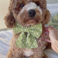 Olive Eyelet Sailor Dog Bow Tie