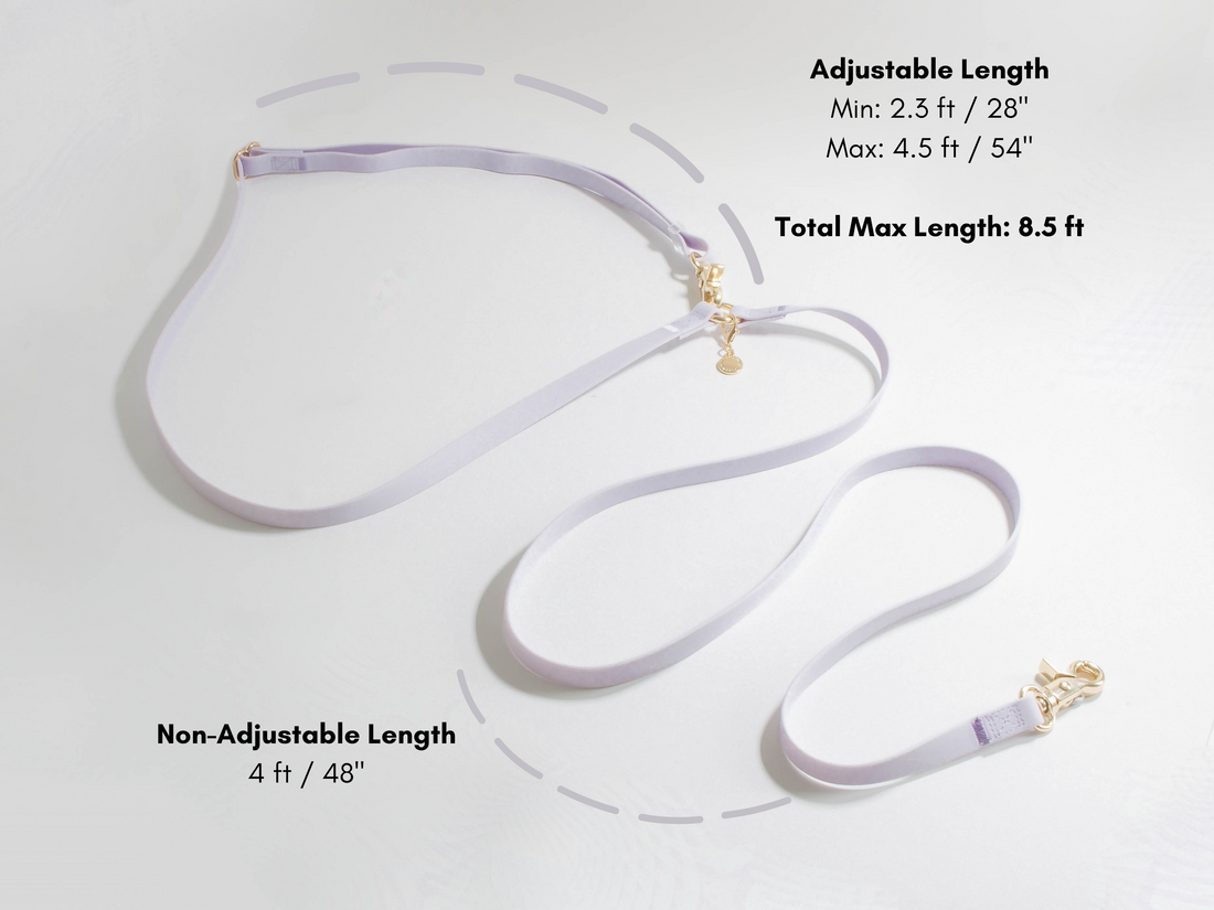 Lavender Haze Lilac Convertible Hands Free Cloud Dog Leash | Multifunctional, Waterproof, and Lightweight Dog Leash | Shop Sunny Tails