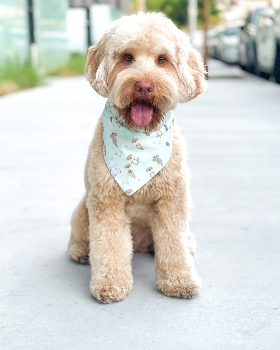 My Otter Half Dog Bandana - SUNNY TAILS