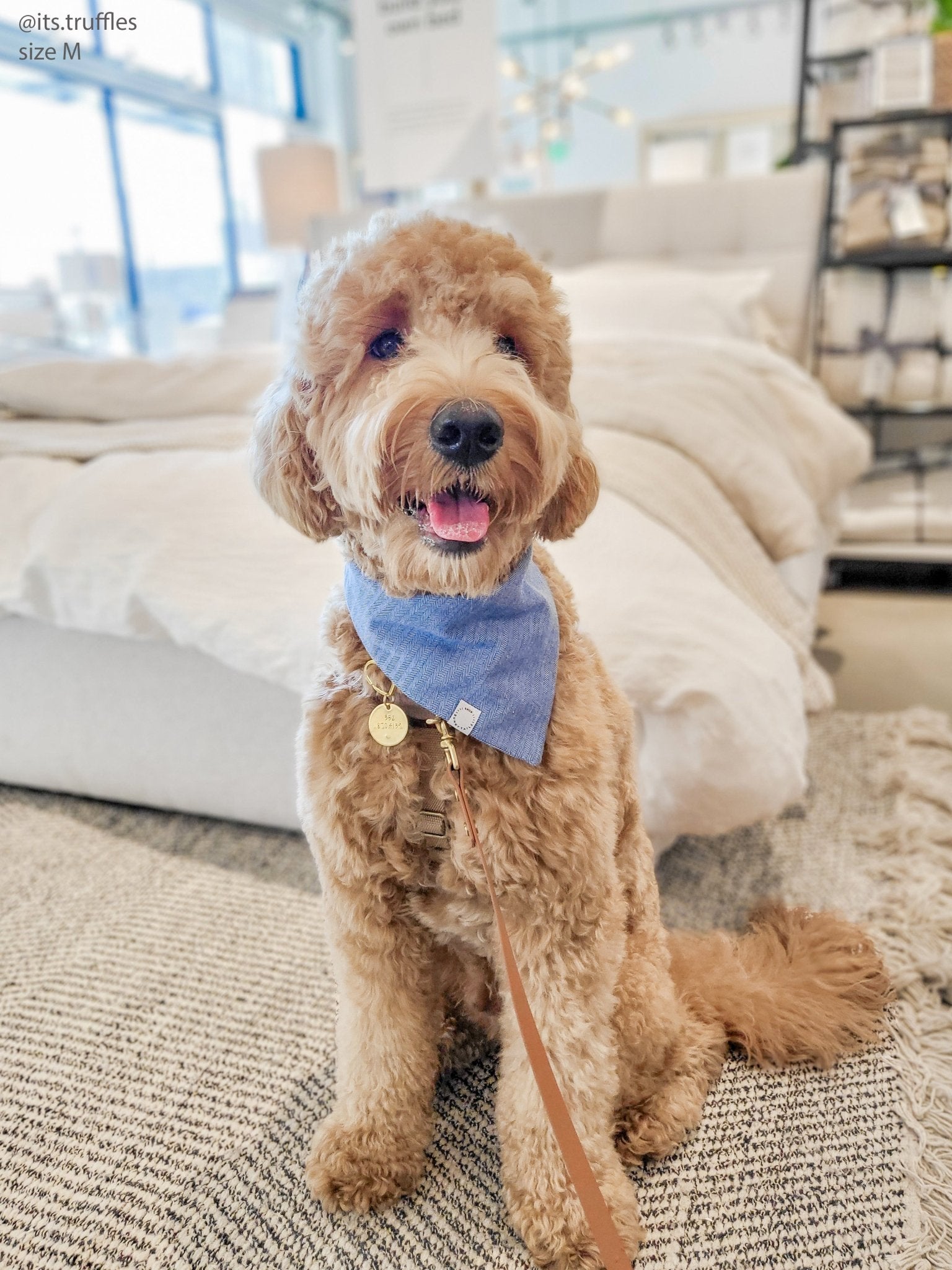 Blue Herringbone Flannel Teddy Bear Dog Bandana - SUNNY TAILS