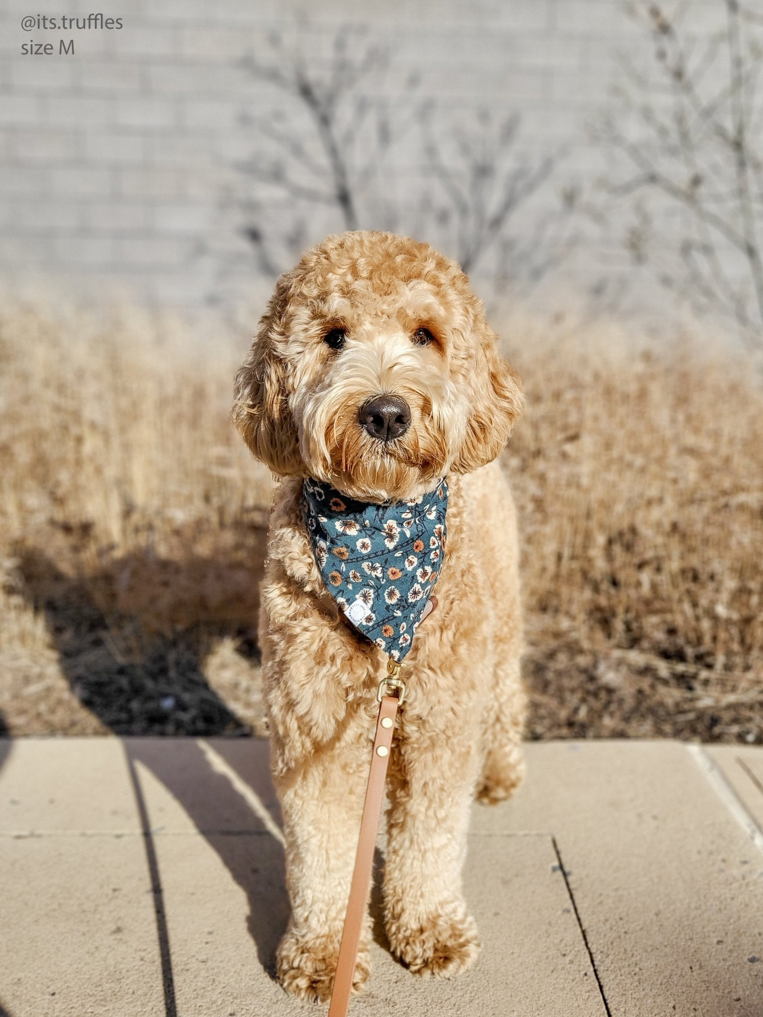 Corduroy Floral Dog Bandana - SUNNY TAILS