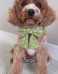 Olive Eyelet Sailor Dog Bow Tie