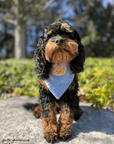 Blue Herringbone Flannel Teddy Bear Dog Bandana - SUNNY TAILS