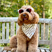 Shop for pet bandanas, bow ties, and toys for your dog of all sizes. Handmade with love by a small business in Los Angeles, California for the best dog gear. 