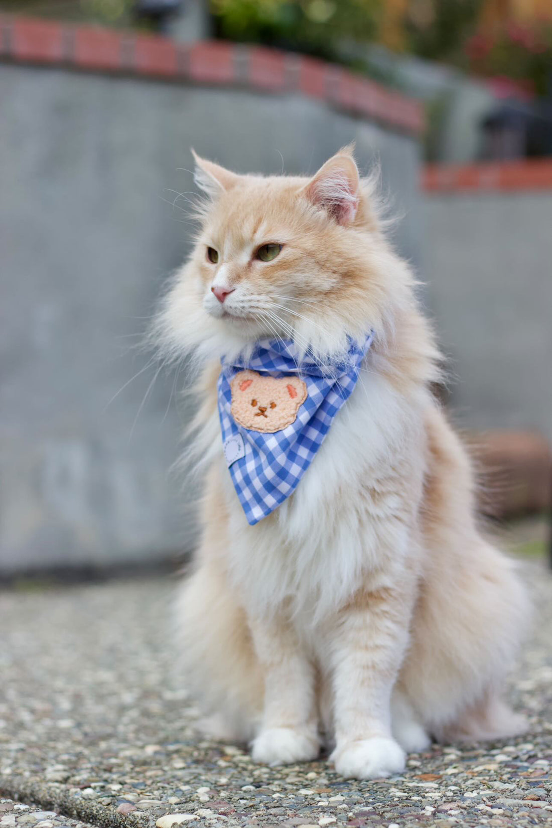 Periwinkle Blue Gingham Teddy Bear Dog Bandana