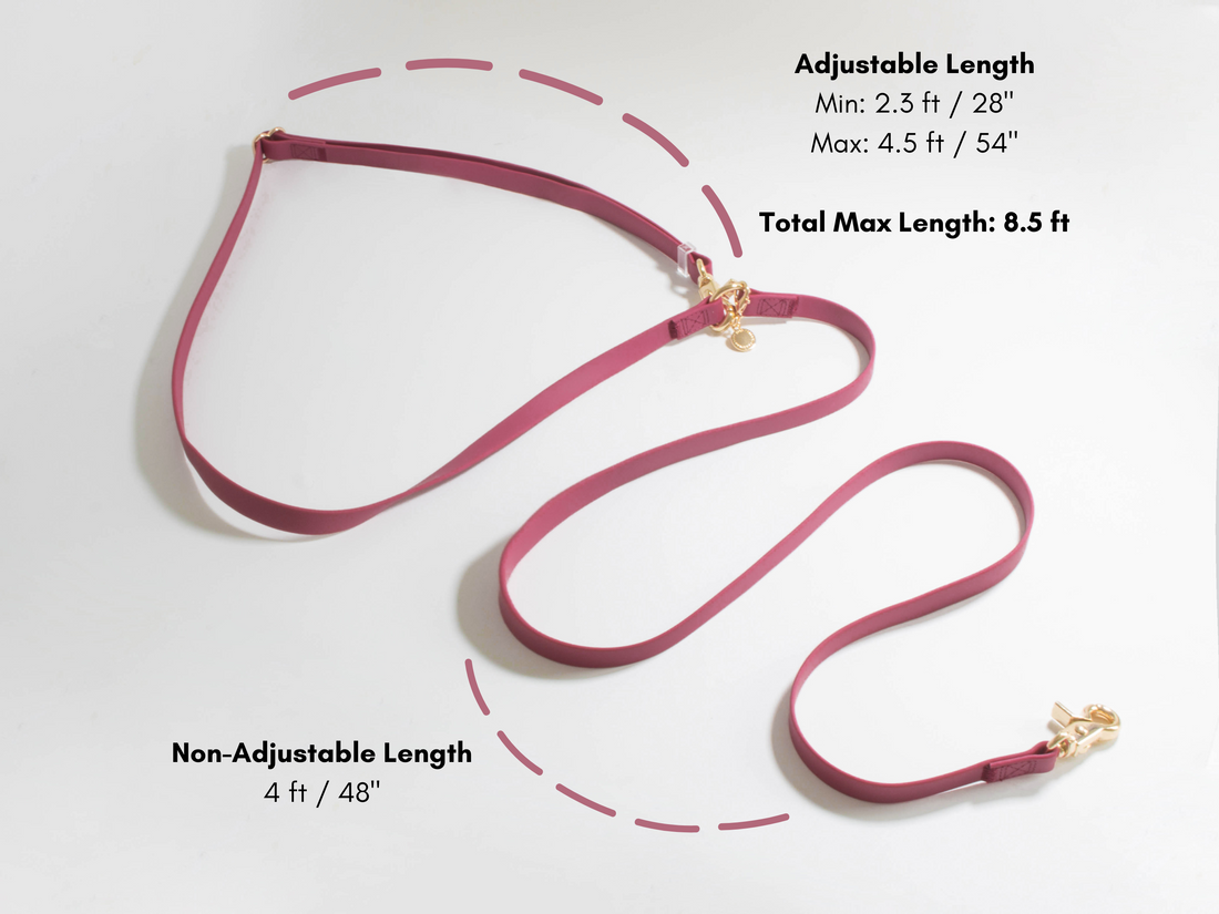 Burgundy dog deals leash