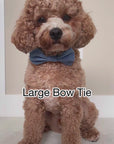 Corduroy Daisies Bow Tie | Doggie Bow Ties | Shop Sunny Tails