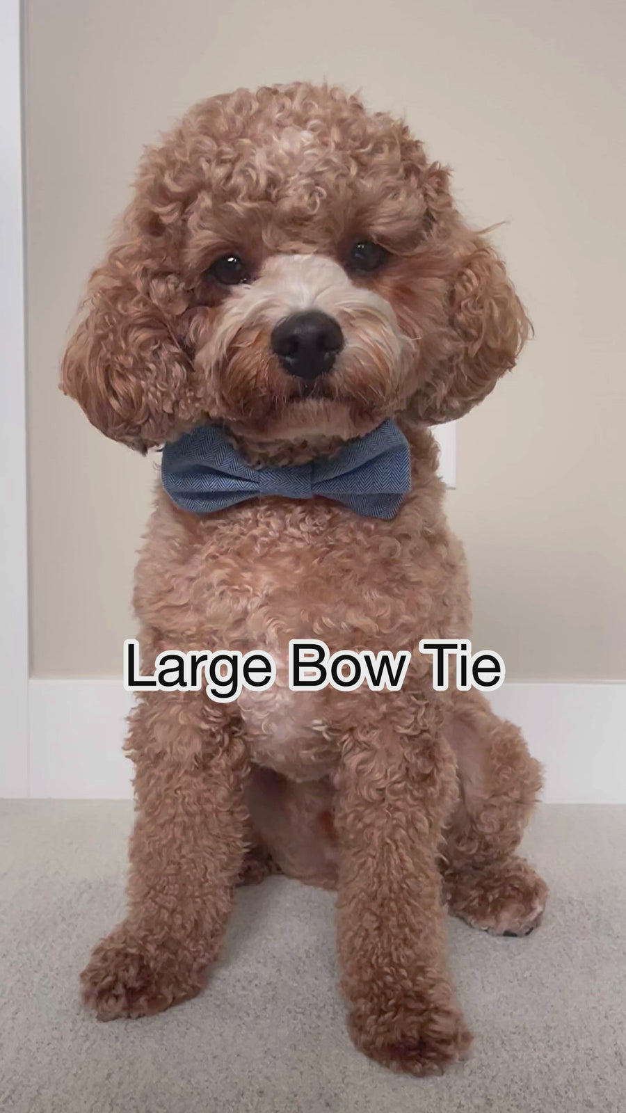 Ivory Flannel Dog Bow Tie