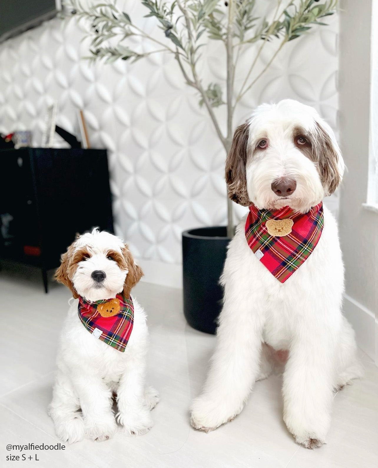 Christmas Flannel Teddy Bear Dog Bandana - SUNNY TAILS