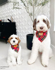 Christmas Flannel Teddy Bear Dog Bandana - SUNNY TAILS