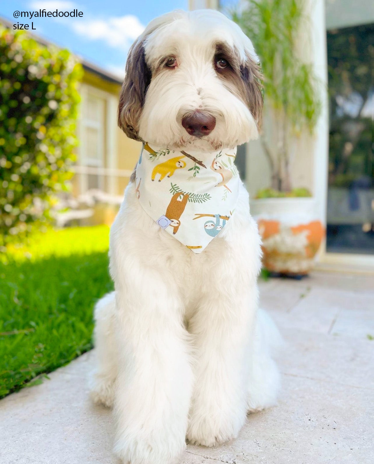 Sloths Hanging In There Dog Bandana - SUNNY TAILS