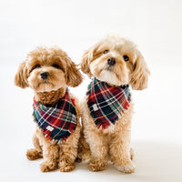 Happy Holidays Plaid Flannel Frayed Dog Bandana | Red, Green, Tartan Plaid Christmas Flannel | Shop Sunny Tails