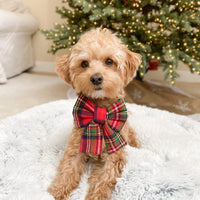 Christmas Plaid Flannel Dog Sailor Bow
