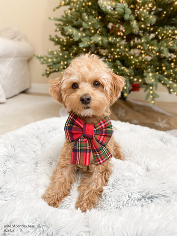 Christmas Plaid Flannel Dog Sailor Bow
