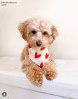 Be My Valentine Corduroy Dog Bandana