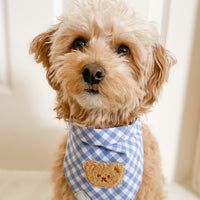 Periwinkle Blue Gingham Teddy Bear Dog Bandana