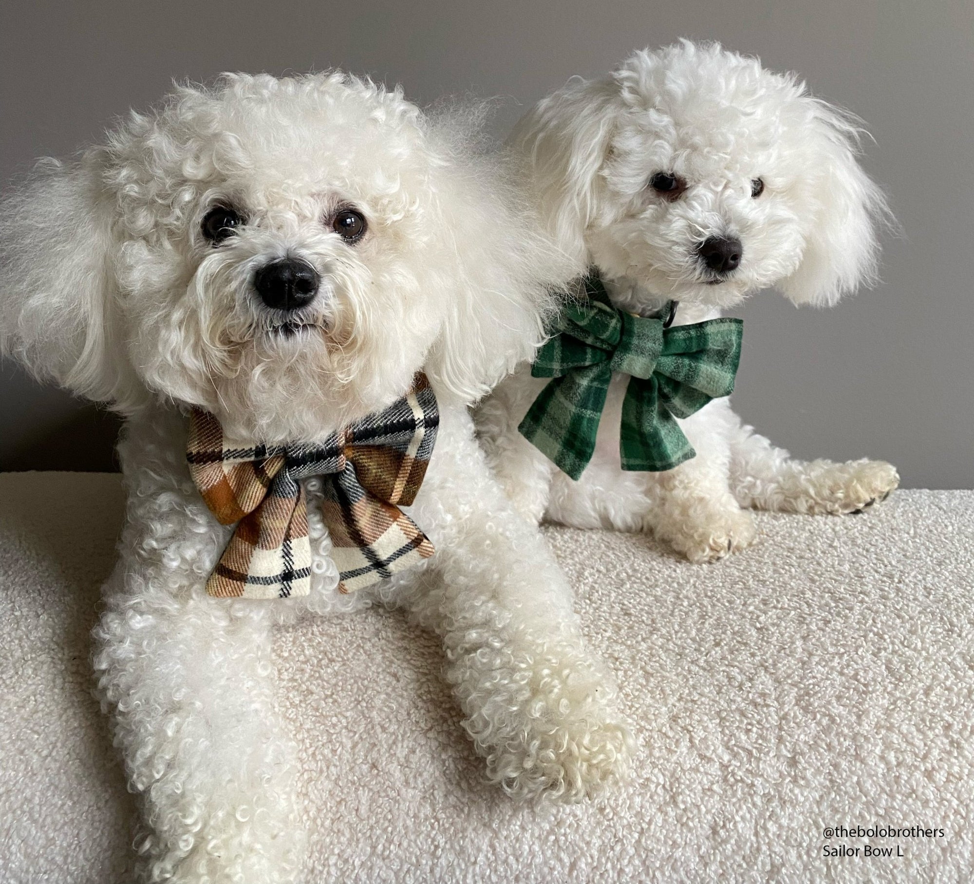 Harvest Plaid Flannel Dog Sailor Bow - SUNNY TAILS