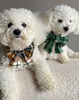 Harvest Plaid Flannel Dog Sailor Bow - SUNNY TAILS