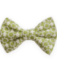 Olive Eyelet Dog Bow Tie - SUNNY TAILS