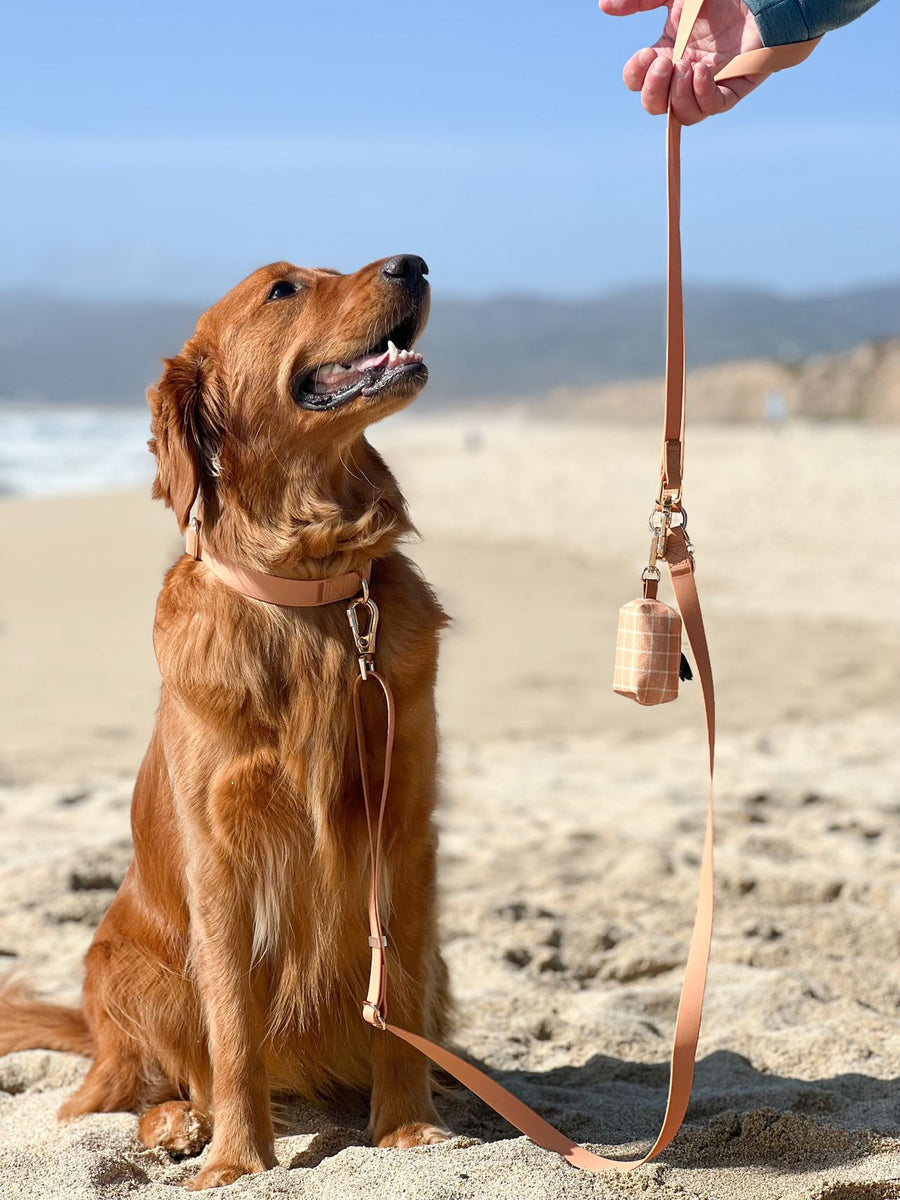 Chai Brown Convertible Hands Free Cloud Dog Leash | Multifunctional, Waterproof, and Lightweight Dog Leash | Shop Sunny Tails
