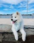 My Otter Half Dog Bandana - SUNNY TAILS