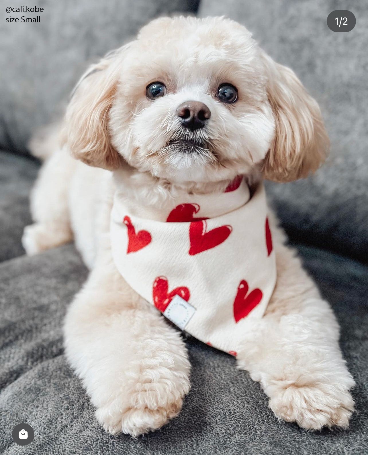 Be My Valentine Corduroy Dog Bandana