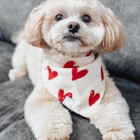 Be My Valentine Corduroy Dog Bandana