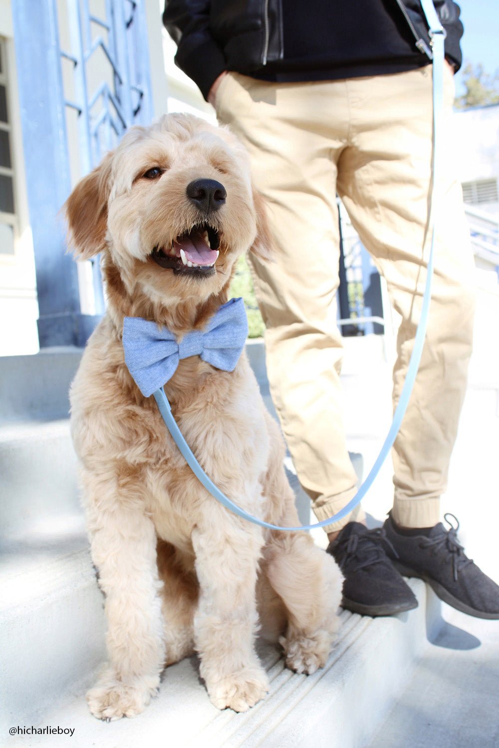 Cloud Leash Extension &amp; Treat Pouch Bundle - SUNNY TAILS