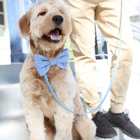 Malibu Blue Convertible Hands Free Cloud Dog Leash | Lightweight, Multifunctional, and Waterproof Dog Leash | Shop Sunny Tails