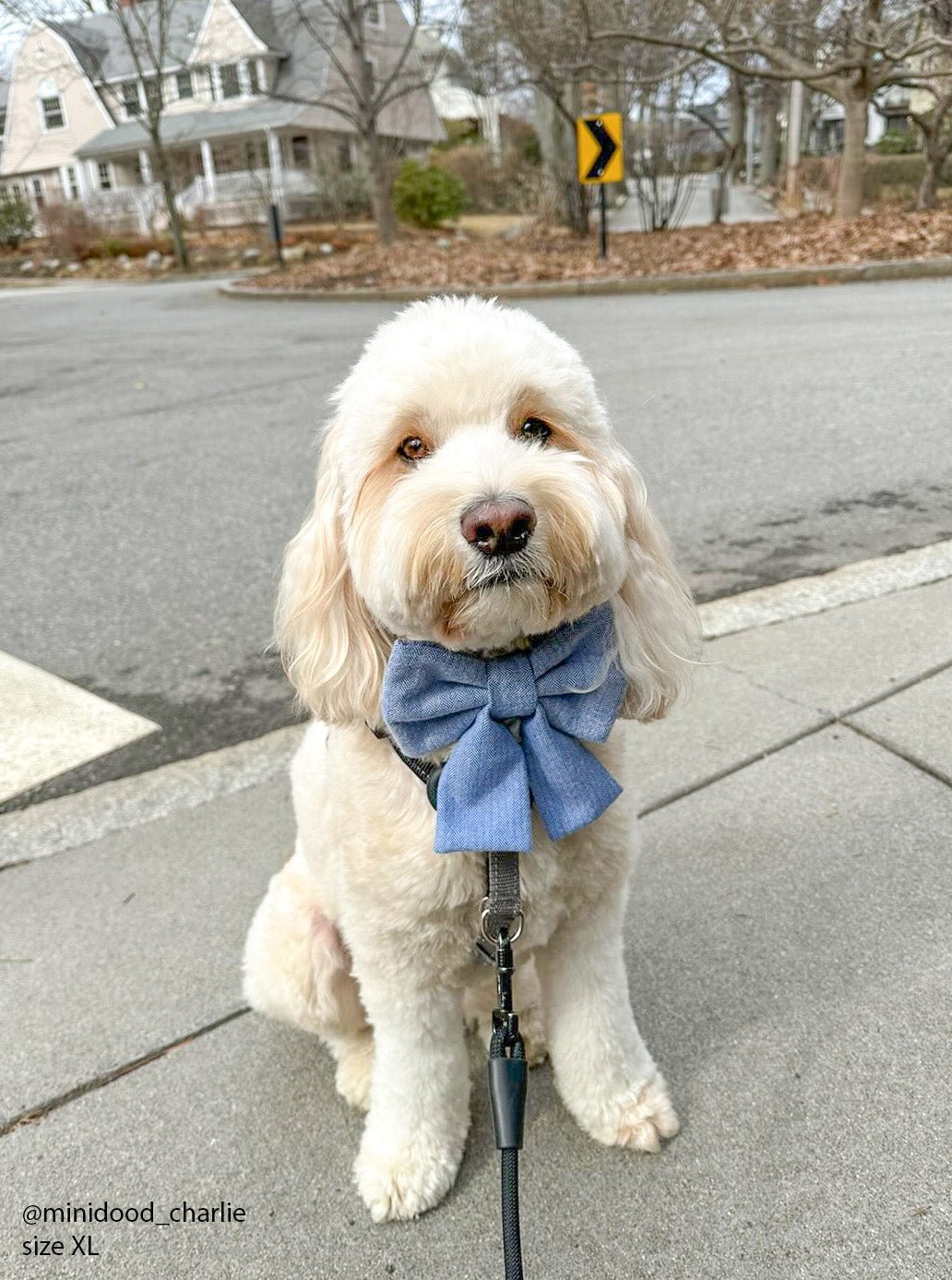 Blue Herringbone Flannel Dog Sailor Bow - SUNNY TAILS