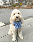 Blue Herringbone Flannel Dog Sailor Bow - SUNNY TAILS