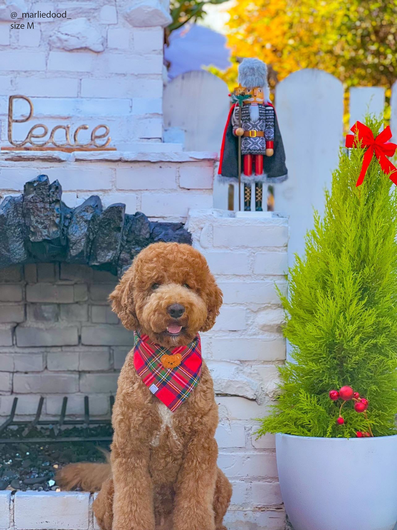 Christmas Flannel Teddy Bear Dog Bandana - SUNNY TAILS