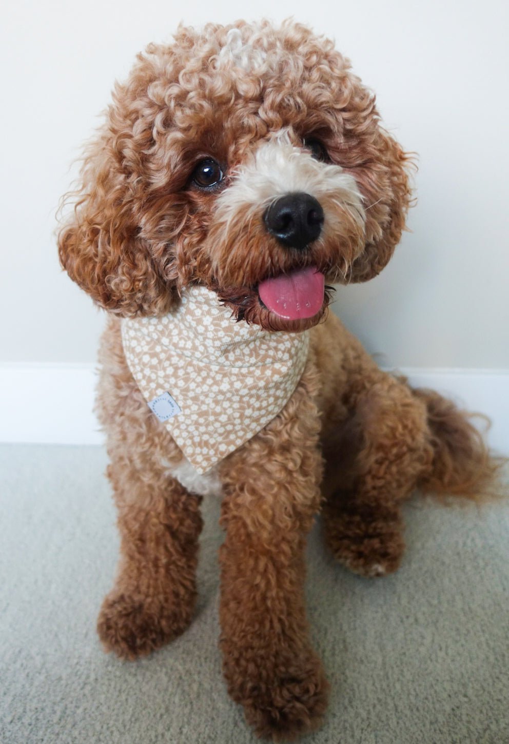Corduroy Everyday Floral Dog Bandana - SUNNY TAILS