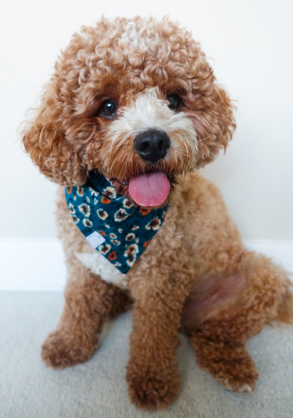 Corduroy Floral Dog Bandana - SUNNY TAILS