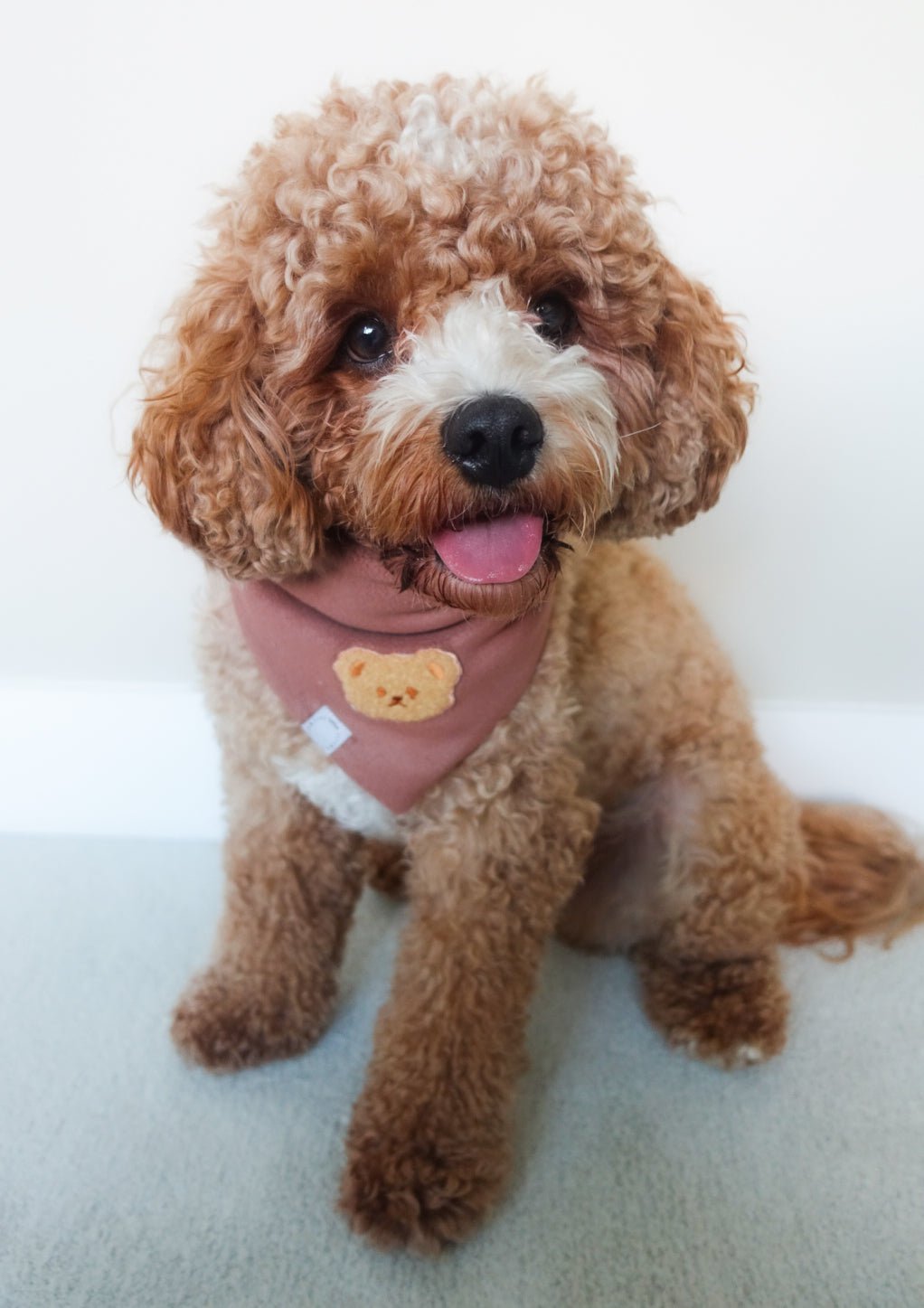 Teddy Fleece Brown Dog Bandana - SUNNY TAILS